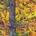 Colored Pencil FAA 08